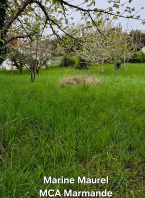 Image du modèle de maison 2127500-11161annonce2202504089WOBN.jpeg