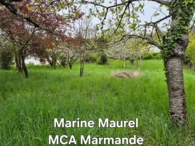 Image du modèle de maison 2127515-11161annonce120250408Fa5P4.jpeg