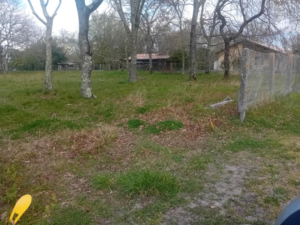 Image du modèle de maison 2127836-11244annonce220250408iJqLn.jpeg