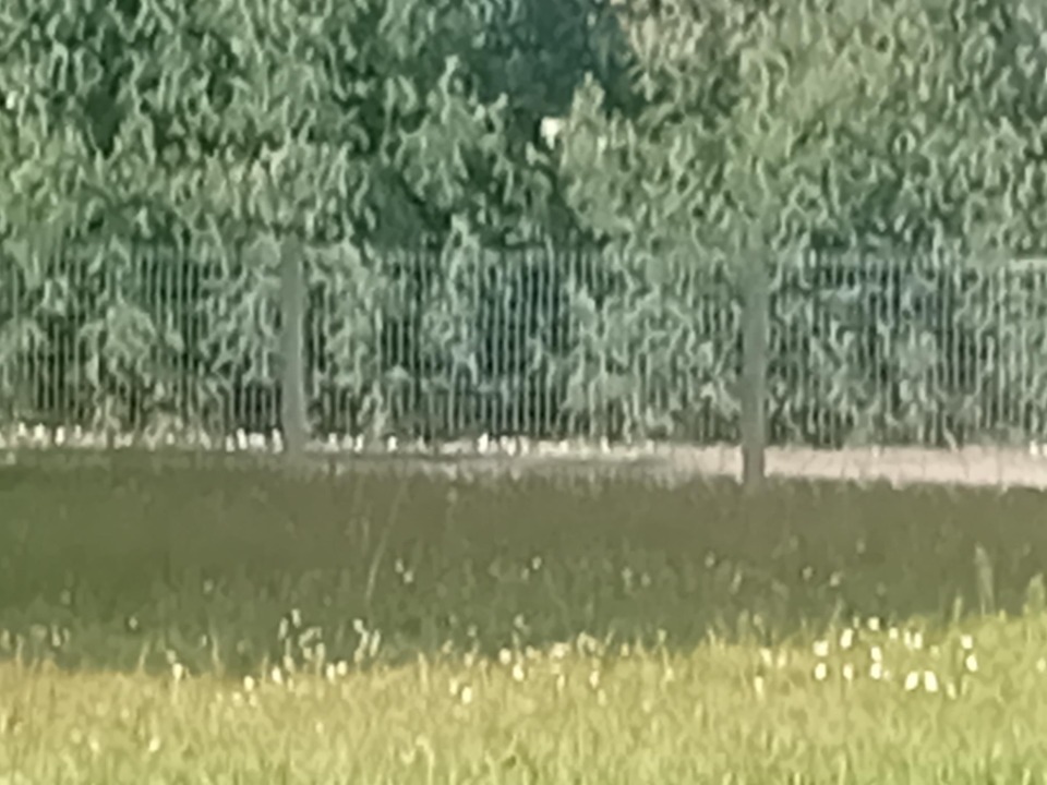 Image du modèle de maison 2127836-11244annonce3202504087r5rB.jpeg