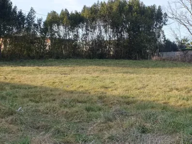 Image du modèle de maison 2127848-11015annonce120250408TdrXK.jpeg