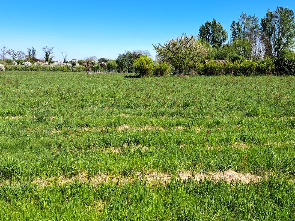 Image du modèle de maison 2128255-11103annonce120250409XSJJg.jpeg