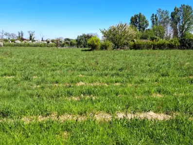 Image du modèle de maison 2128255-11103annonce120250409XSJJg.jpeg