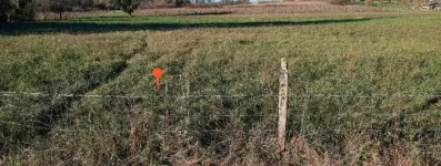 Image du modèle de maison 2128431-11131annonce120250409GrMRw.jpeg