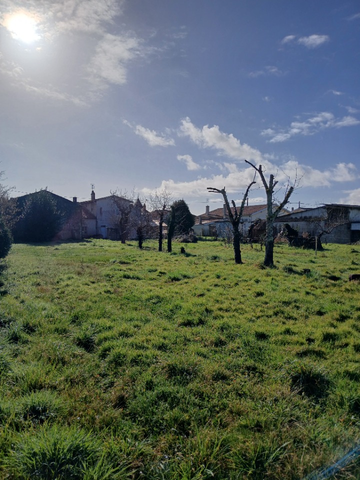 Image du terrain Terrain à bâtir à Béguey (33410)