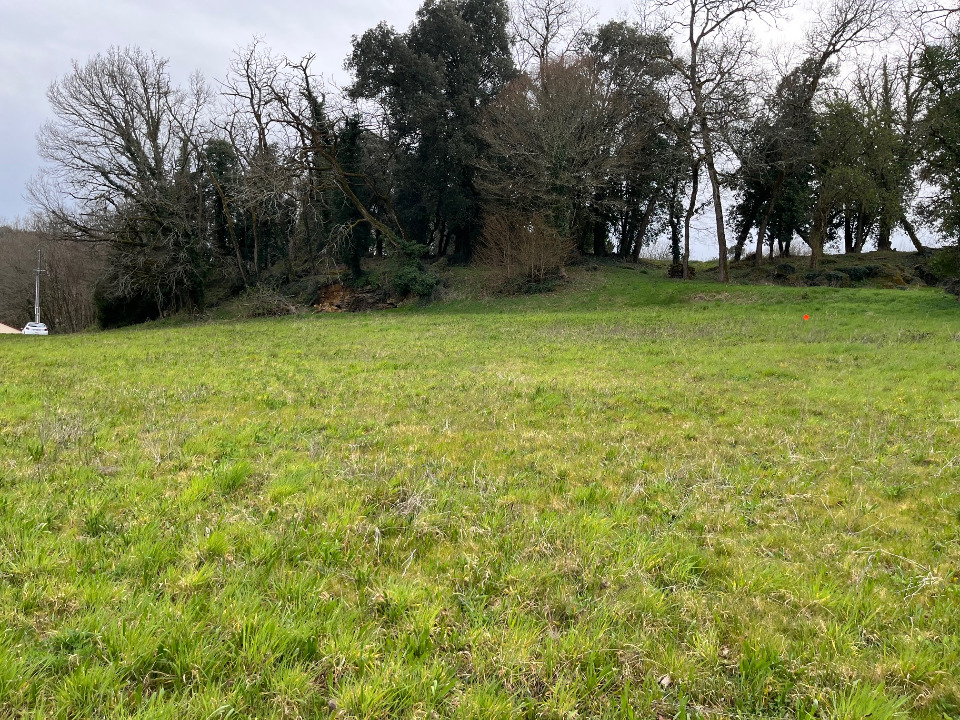 Image du modèle de maison 2128898-11160annonce120250409NTedo.jpeg