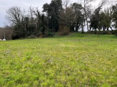 Image du modèle de maison 2128920-11160annonce120250409NTedo.jpeg