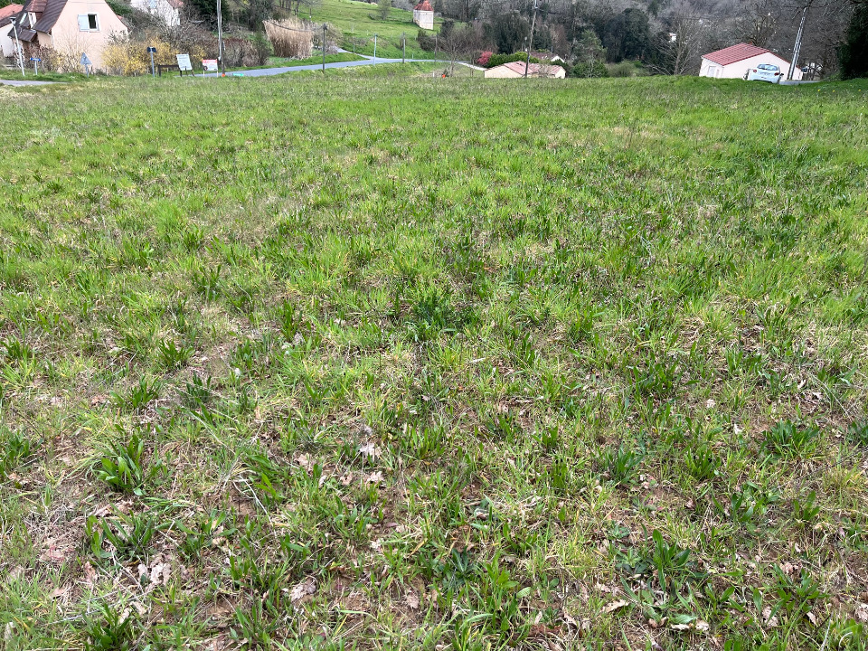 Image du modèle de maison 2129095-11160annonce220250410fwMSH.jpeg