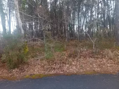 Image du modèle de maison 2129255-11244annonce420250410sRivM.jpeg