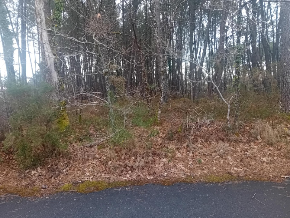 Image du modèle de maison 2129269-11244annonce420250410sRivM.jpeg