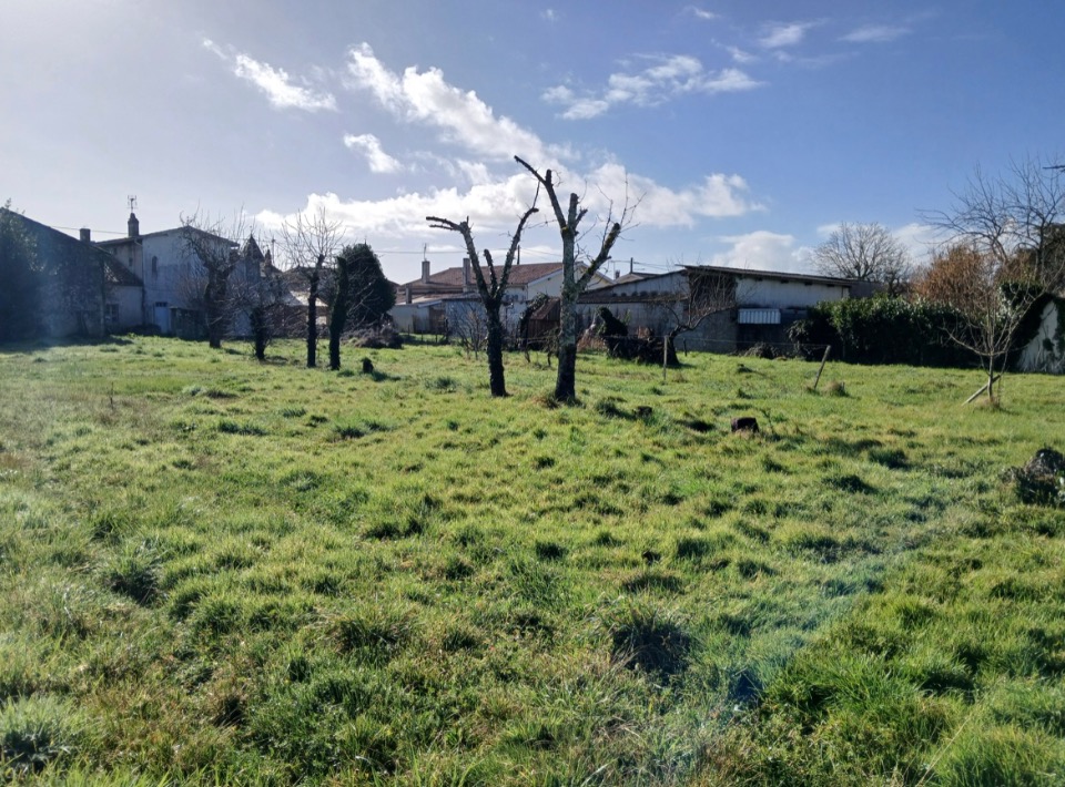 Image du terrain Terrain à bâtir à Béguey (33410)