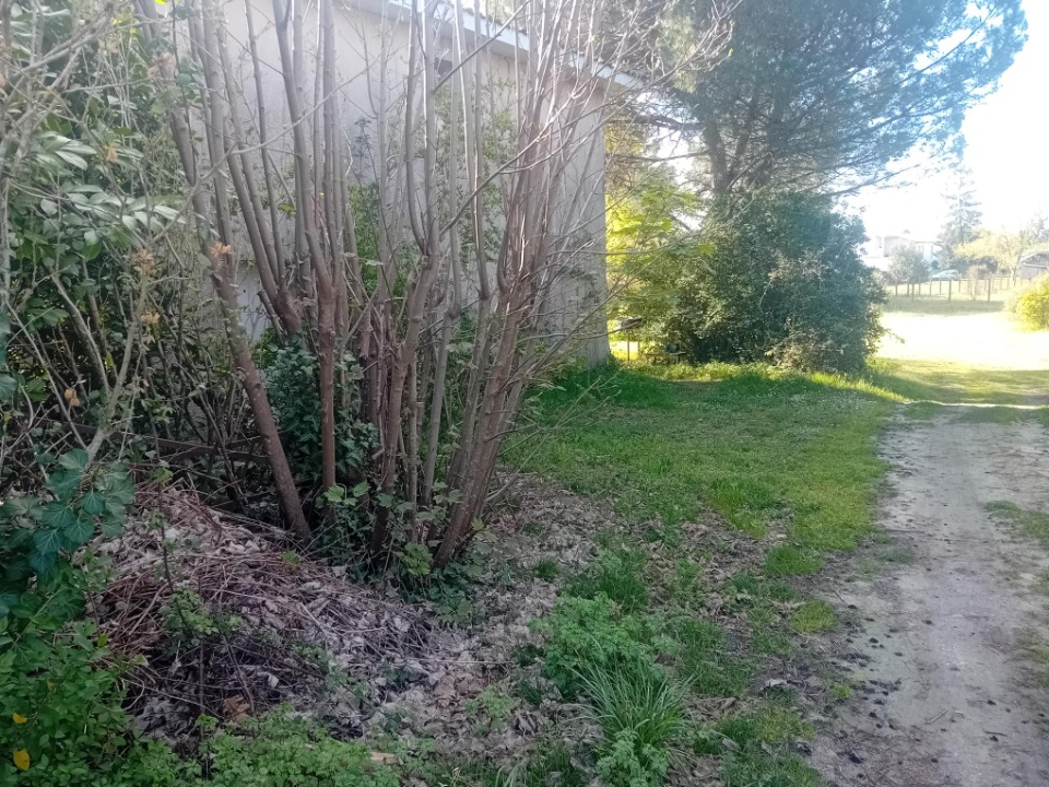 Image du modèle de maison 2129351-11244annonce120250410UX4zU.jpeg