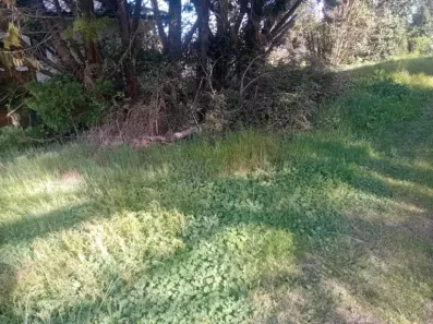 Image du modèle de maison 2129414-11244annonce420250410t9B7E.jpeg