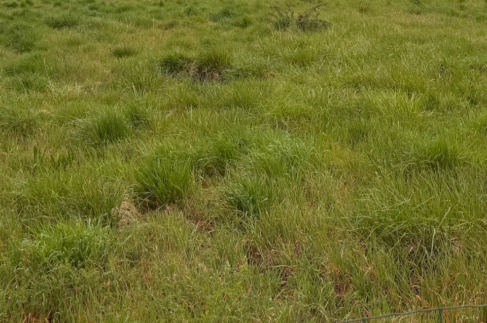 Image du modèle de maison 2129812-11337annonce120250410rqQXh.jpeg