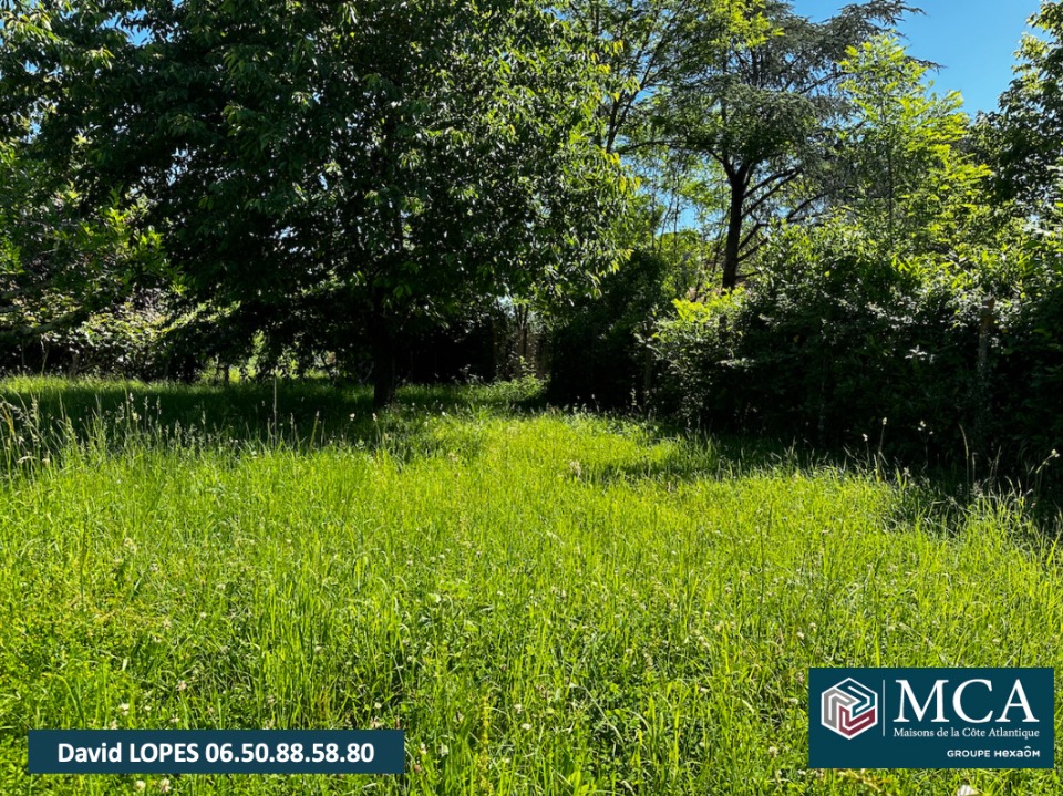 Image du modèle de maison 2130451-4459annonce120241018QWSDX.jpeg