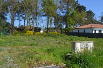 Image du modèle de maison 2130893-10890annonce220250411FwJBr.jpeg