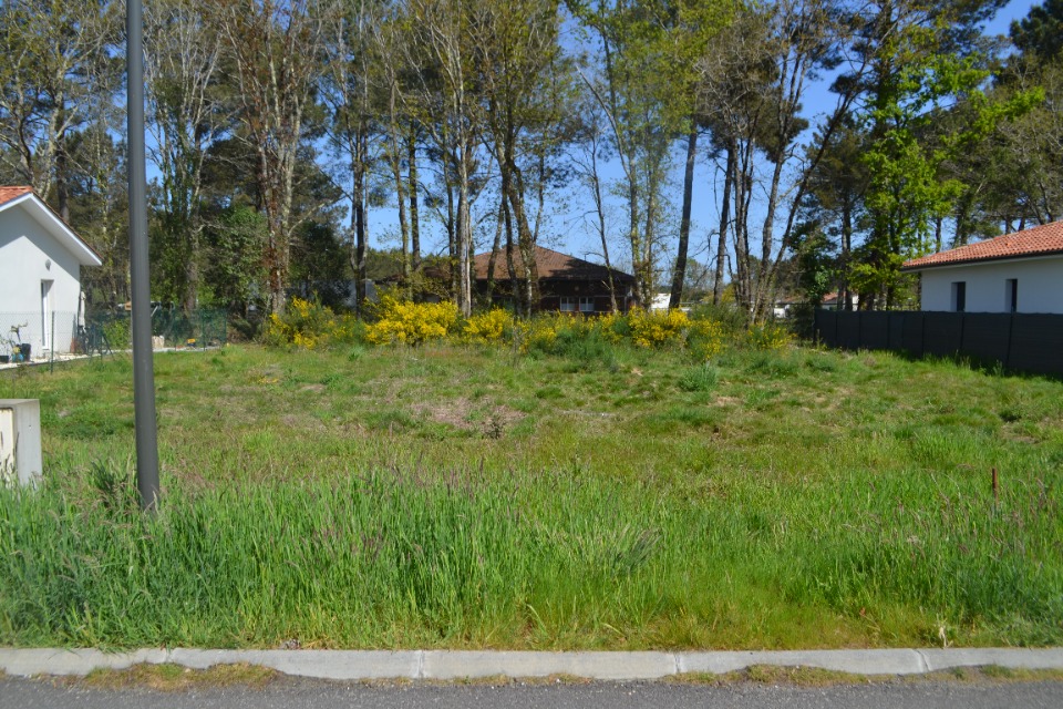 Image du modèle de maison 2130993-10890annonce3202504119URKm.jpeg