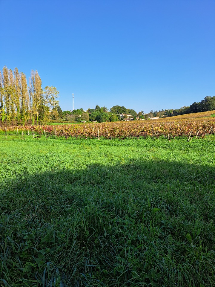 Image du terrain Terrain à bâtir à Lugon-et-l'Île-du-Carnay (33240)