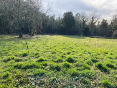 Image du modèle de maison 2132238-11194annonce320250414TXih3.jpeg