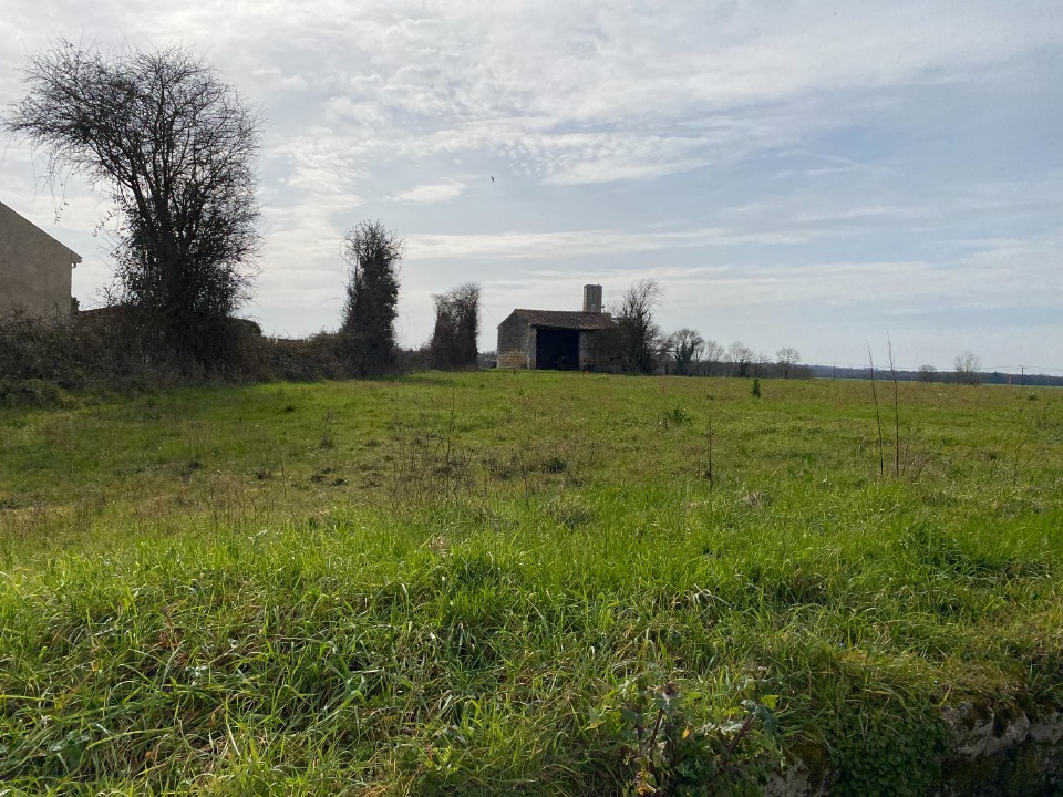 Image du terrain Terrain à bâtir à Plassay (17250)