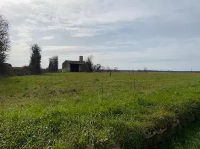 Image du modèle de maison 2132241-11194annonce220250414DoXSo.jpeg