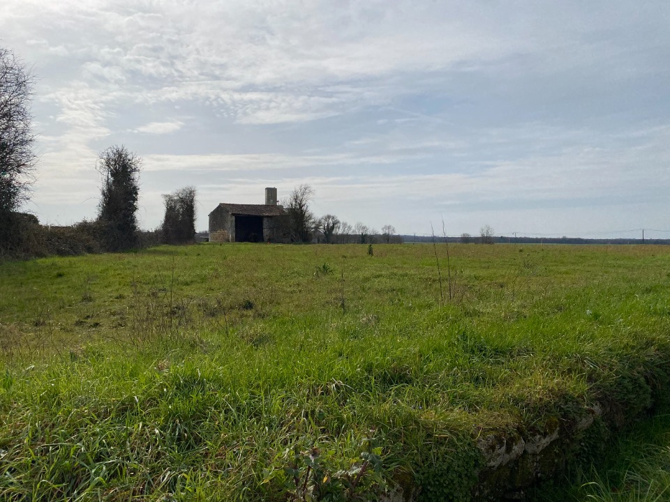 Image du modèle de maison 2132243-11194annonce220250414DoXSo.jpeg