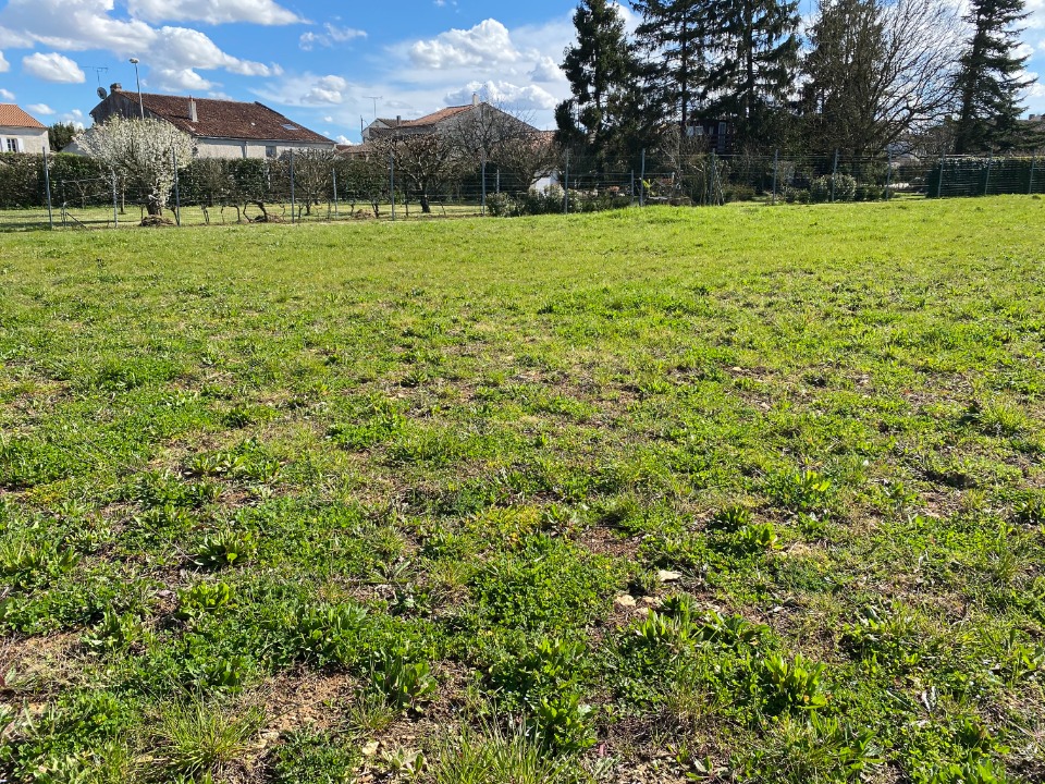 Image du modèle de maison 2132256-11194annonce320250414MJODt.jpeg