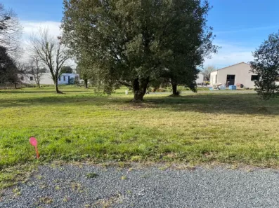 Image du modèle de maison 2132277-11194annonce1202504144KIoD.jpeg