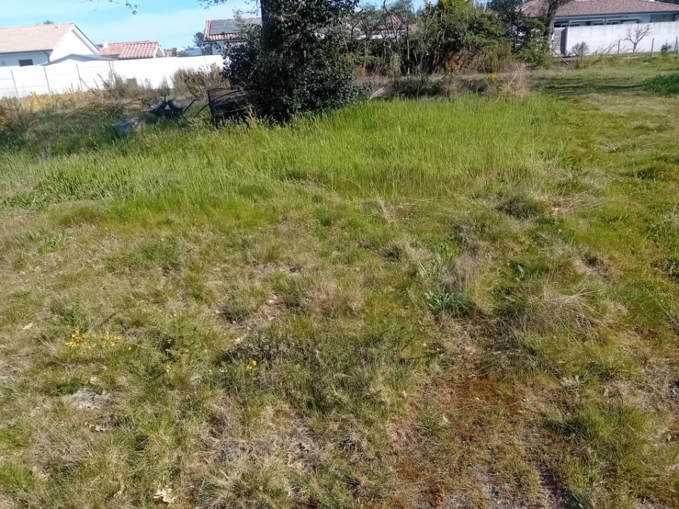 Image du modèle de maison 2132561-11244annonce120250414Fzdbn.jpeg