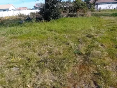 Image du modèle de maison 2132561-11244annonce120250414Fzdbn.jpeg