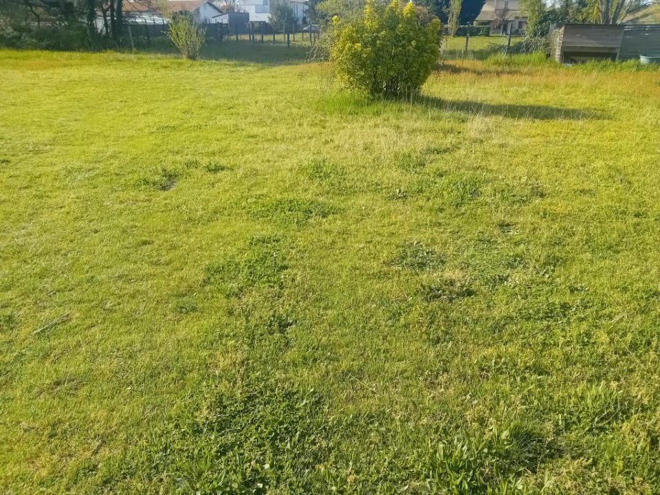 Image du modèle de maison 2132561-11244annonce4202504147VAuF.jpeg
