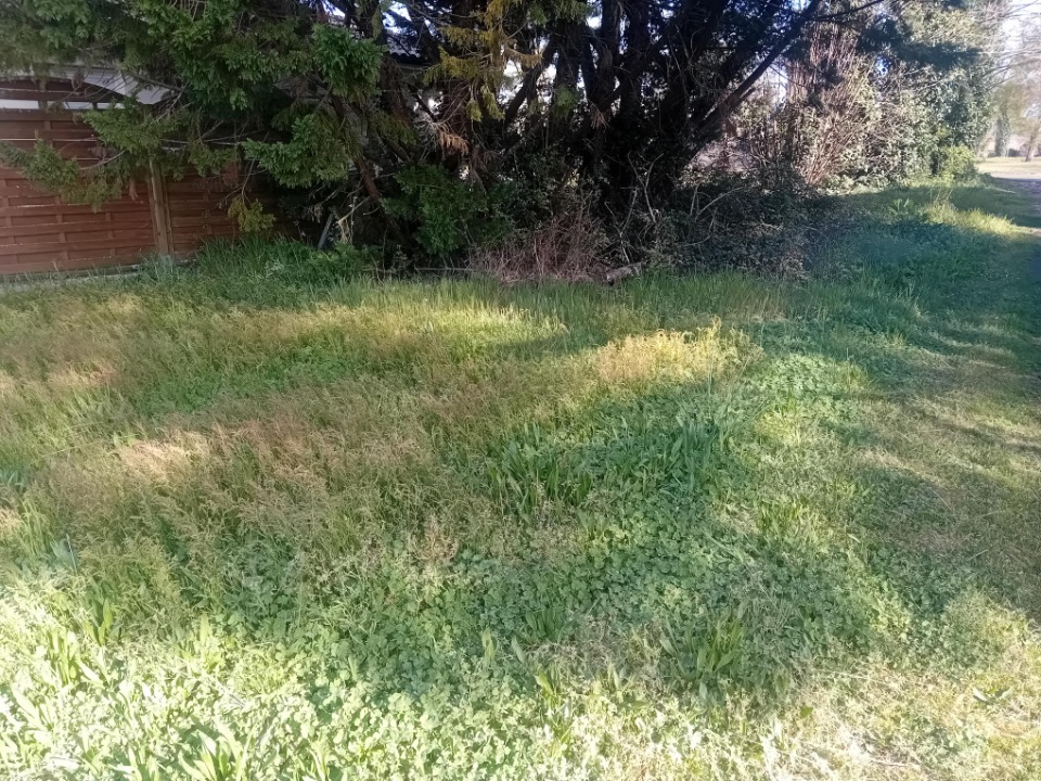 Image du modèle de maison 2132755-11244annonce120250414CKuaq.jpeg
