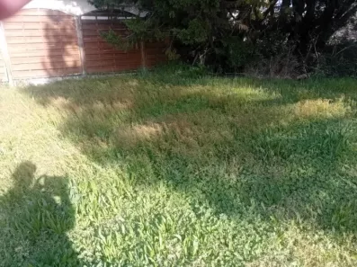 Image du modèle de maison 2132755-11244annonce220250414mUwk6.jpeg
