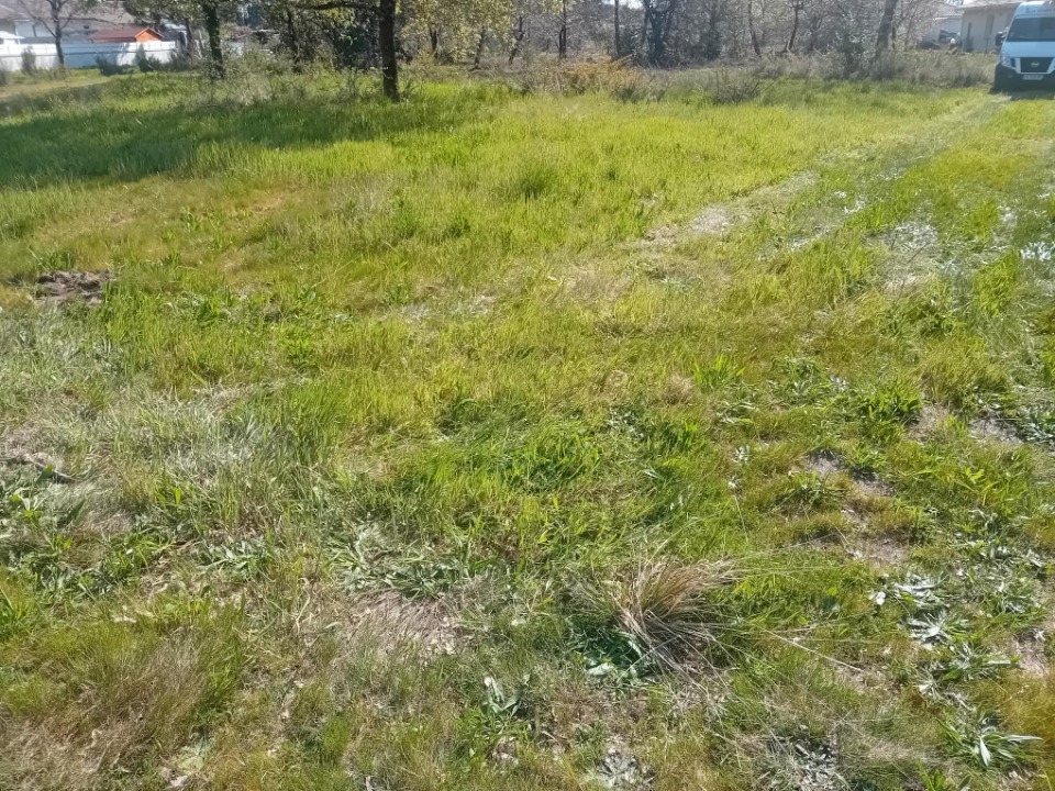 Image du modèle de maison 2132755-11244annonce320250414KL9AV.jpeg