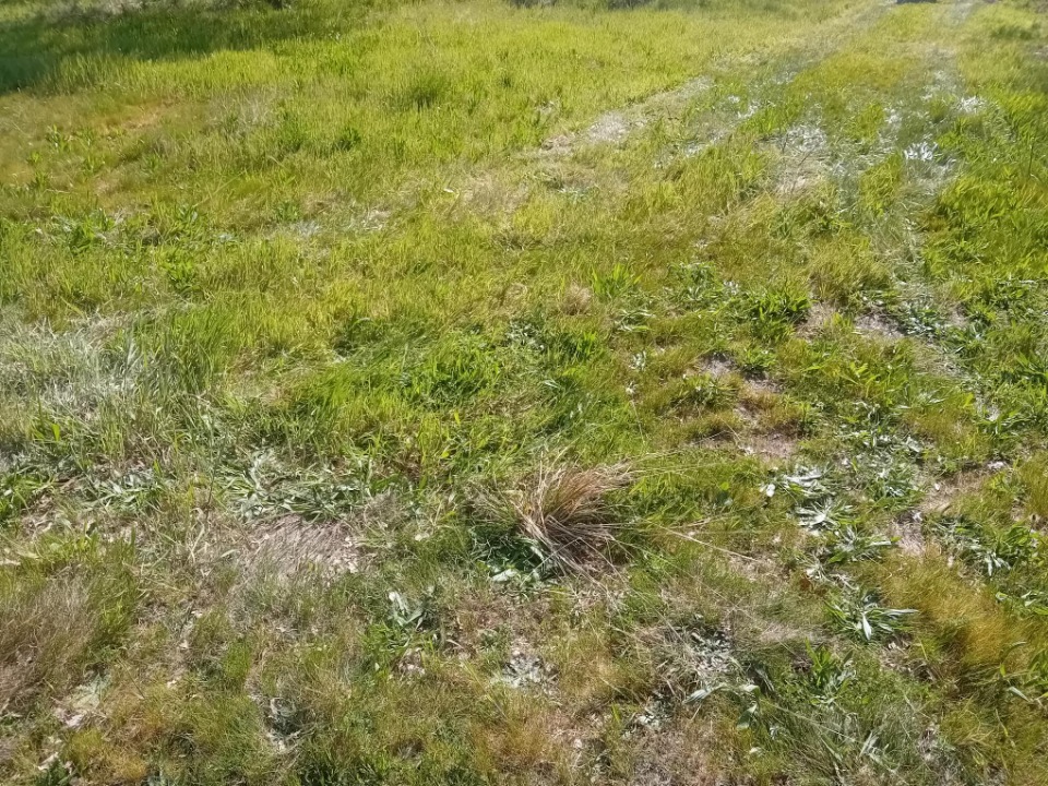Image du modèle de maison 2132755-11244annonce4202504144T2JH.jpeg