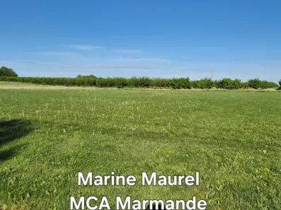 Image du modèle de maison 2132945-11161annonce220250415xdaLm.jpeg