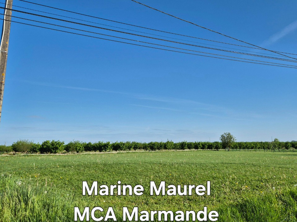Image du modèle de maison 2132945-11161annonce320250415bHJvm.jpeg