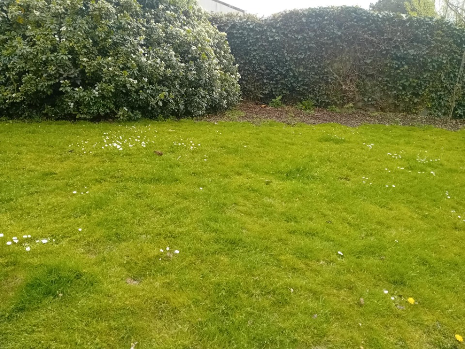 Image du modèle de maison 2133183-11244annonce420250415K9y0H.jpeg
