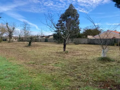 Image du modèle de maison 2133694-10624annonce120250415CJ3nk.jpeg