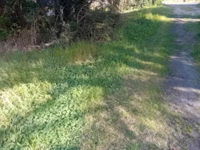 Image du modèle de maison 2133756-11244annonce120250415tLxMy.jpeg