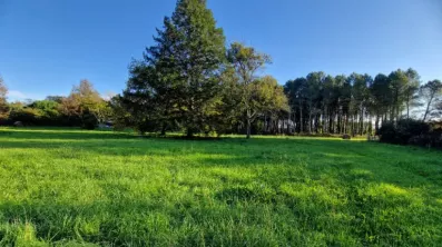 Image du modèle de maison 2134417-10677annonce120250416mWhJD.jpeg