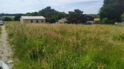 Image du modèle de maison 2135002-11141annonce1202504170nktF.jpeg