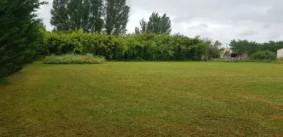 Image du modèle de maison 2135157-1686annonce120250417Foww1.jpeg