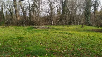 Image du modèle de maison 2135189-11141annonce120250417eVXbc.jpeg