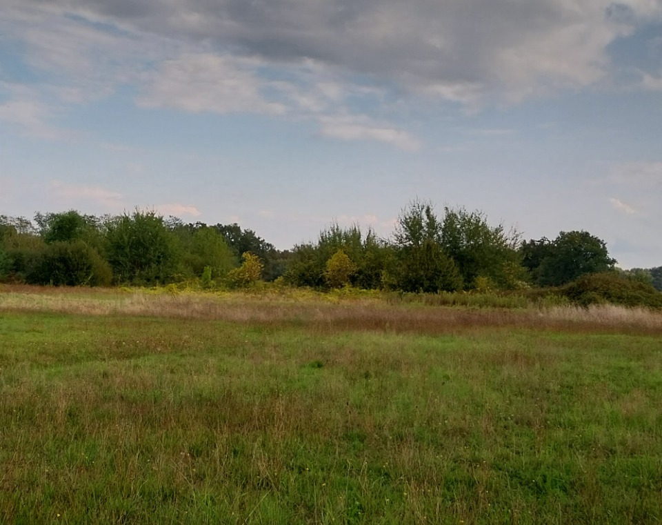 Image du terrain Terrain à bâtir à Lugon-et-l'Île-du-Carnay (33240)