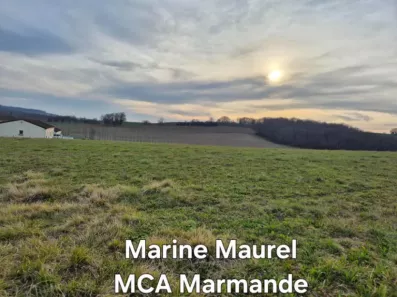 Image du modèle de maison 2135574-11161annonce220250417wQGLm.jpeg