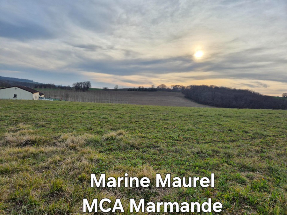 Image du modèle de maison 2135579-11161annonce220250417wQGLm.jpeg