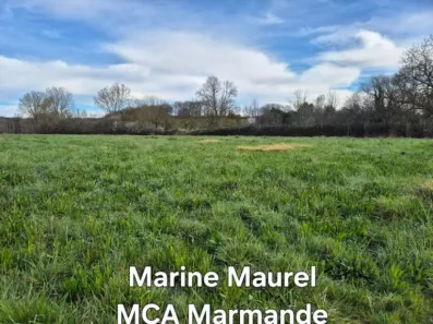Image du modèle de maison 2135598-11161annonce120250417ngCud.jpeg