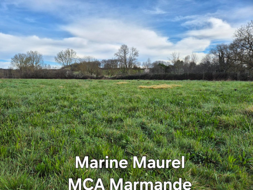 Image du modèle de maison 2135599-11161annonce120250417ngCud.jpeg