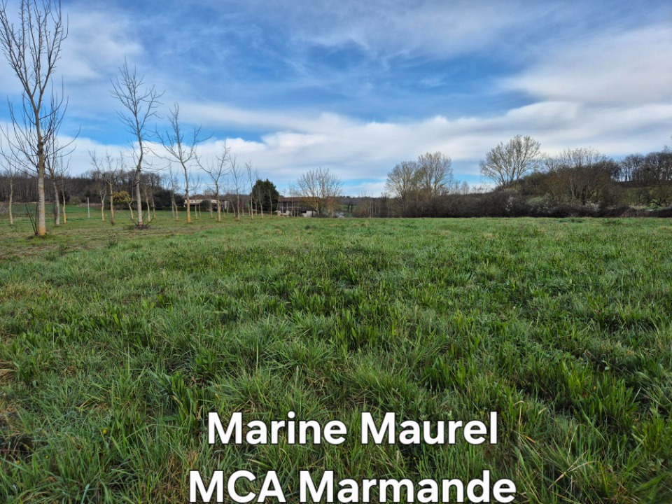 Image du modèle de maison 2135606-11161annonce220250417FRREU.jpeg